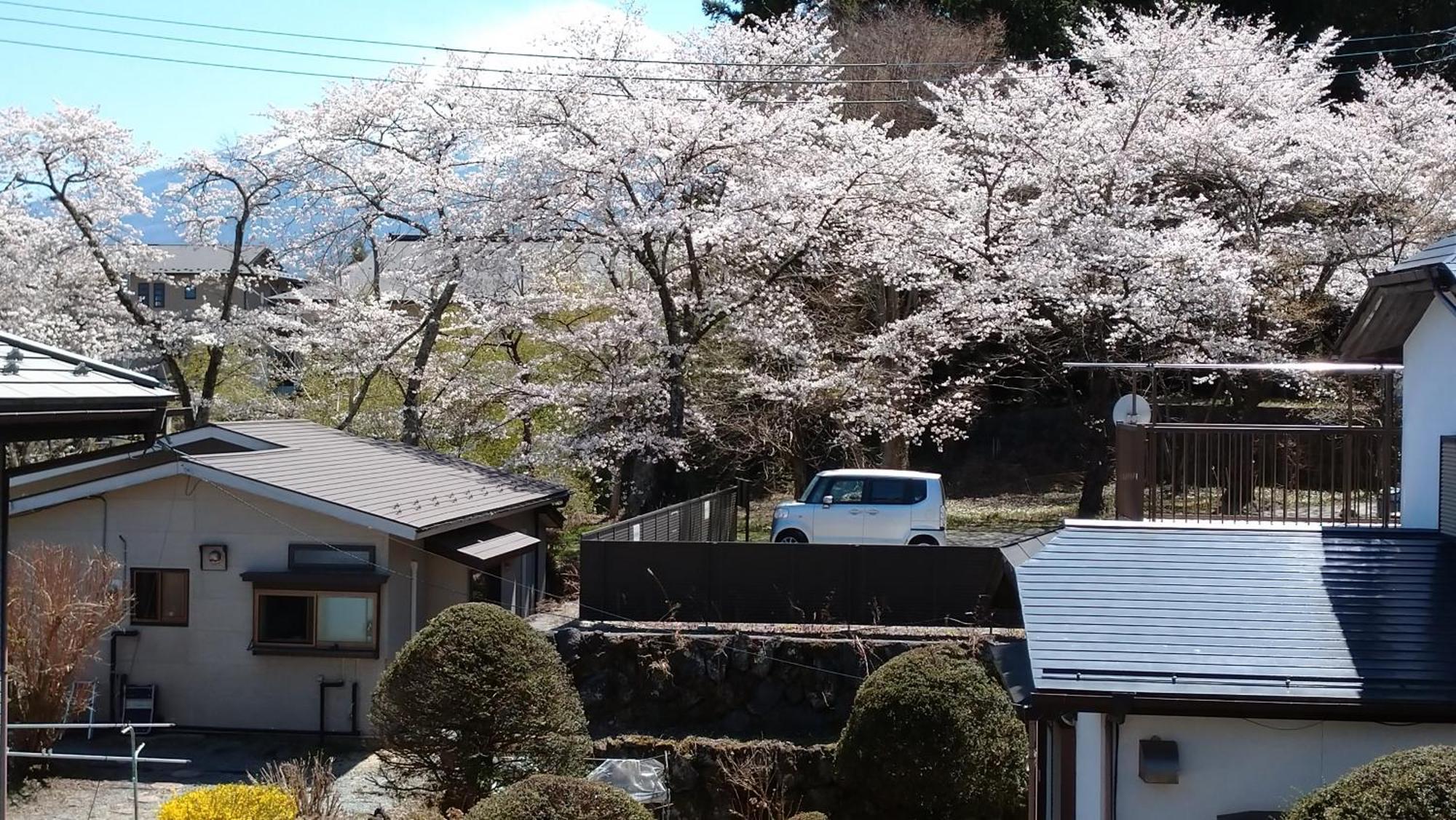 Hotel Nishimiyasou Fujikawaguchiko Exterior foto